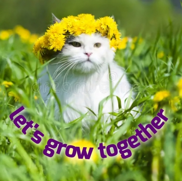 ๐Share, Follow, Collect New Blues๐ - Picture 5 of 5